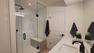 Discovery Ridge Lower Level Bath